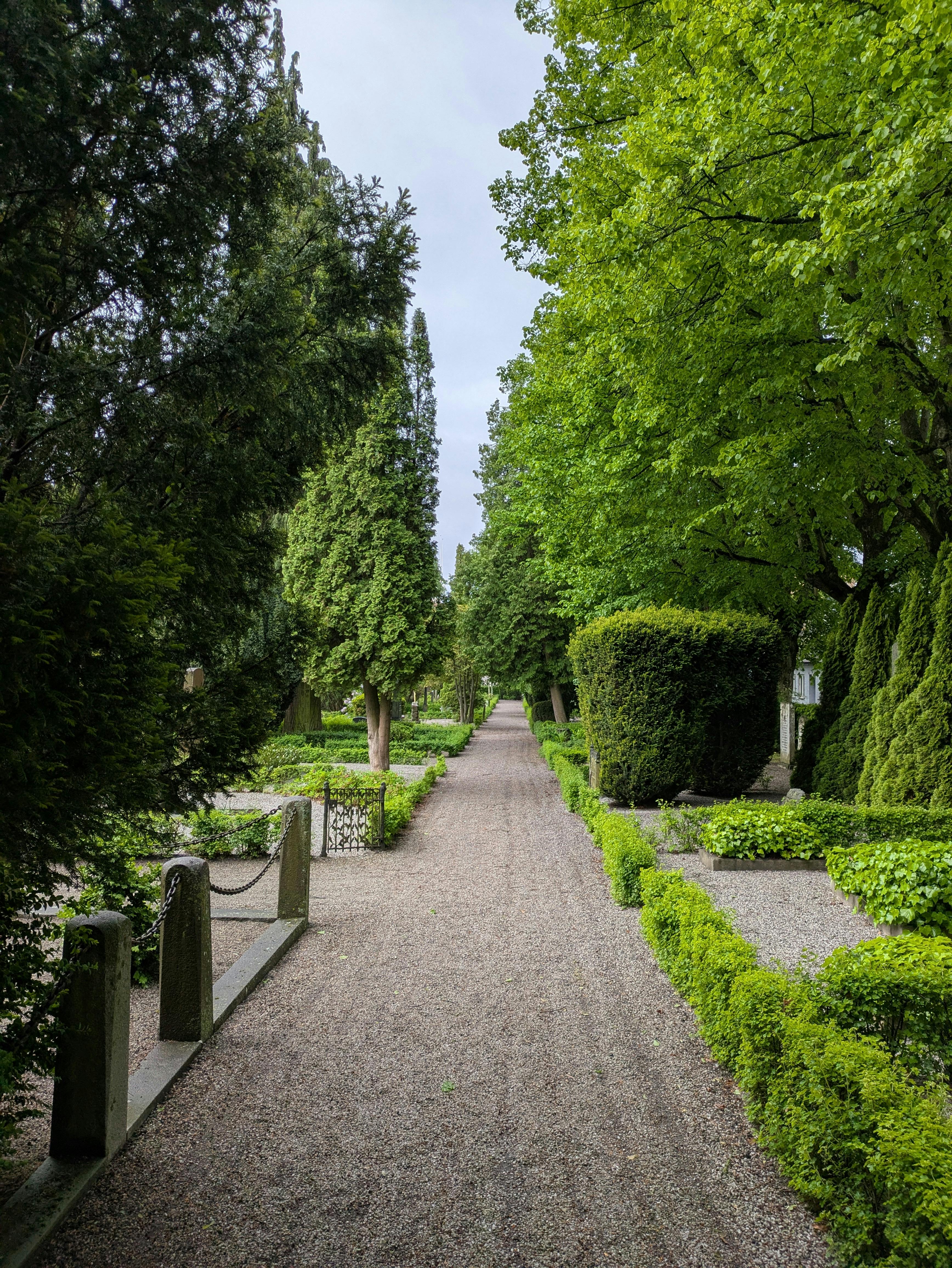 Garden makeover transformation in Brisbane